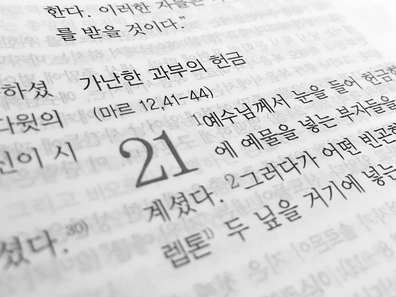 Language Translators