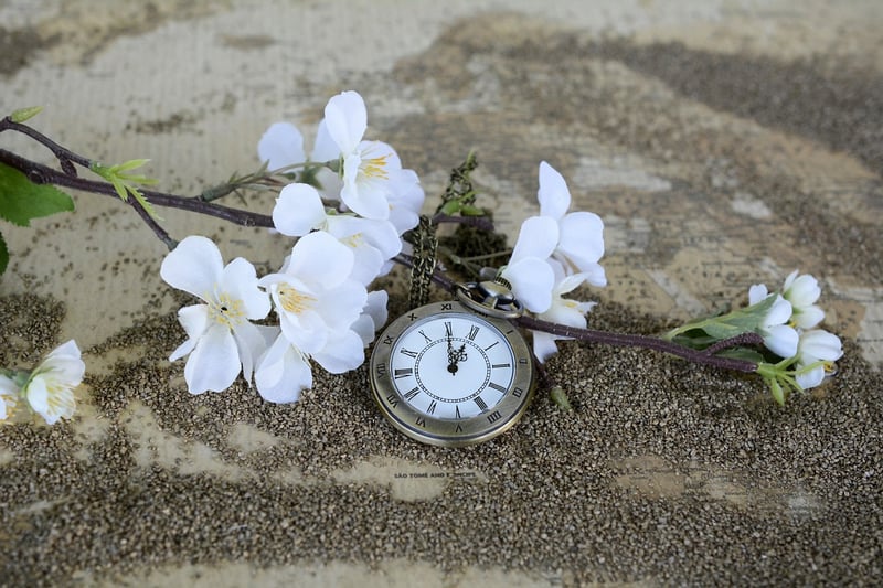 Time Traveler Image